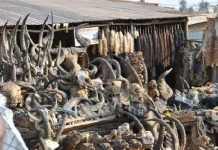 Chợ phép thuật bùa chú ở Châu Phi