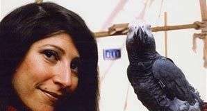 Con vẹt “phục vụ” ngành khoa học suốt 30 năm đã qua đời