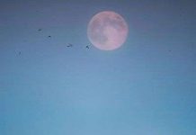 Những điểm ấn tượng về Trăng Xanh