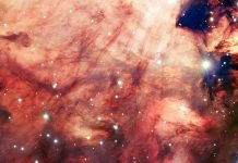 Tinh vân màu hồng Omega