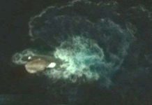 Vật thể nghi là quái vật mực dài 120m trong ảnh Google Earth