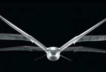 Robot mô phỏng mòng biển