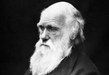 Hé lộ căn bệnh quái lạ đầy bí ẩn của nhà bác học Charles Darwin