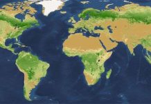 Tìm ra thủ phạm triệt hạ phân nửa cây xanh trên Trái Đất