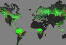 Ra mắt bản đồ thế giới đầu tiên về diện tích rừng Trái Đất