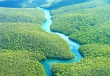 Phát hiện sông ngầm bên dưới "lá phổi trái đất"