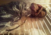 Giữ xác "sinh vật ngoài hành tinh" trong tủ lạnh