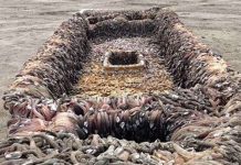 Con tàu bí ẩn trôi dạt vào bờ biển nước Mỹ