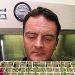 Trồng rau trên sao Hoả