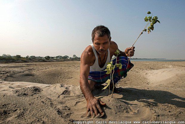 Người đàn ông trồng cây suốt 40 năm và kết quả bất ngờ đến không tưởng