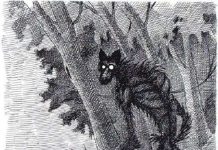 Quỷ hầu - sinh vật huyền bí gây náo loạn rừng núi