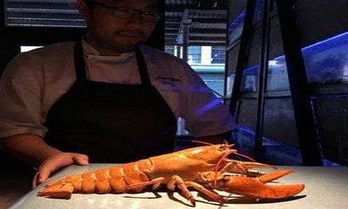Tôm hùm quý hiếm có màu đỏ như bị luộc trong nhà hàng Mỹ