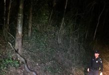 Sốc khi gặp “cụ” mãng xà lớn đến khó tin, dài nhất nước Úc Sốc khi gặp "cụ" mãng xà lớn đến khó tin, dài nhất nước Úc