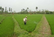 Sản xuất chế phẩm thuốc trừ sâu không độc hại Sản xuất chế phẩm thuốc trừ sâu không độc hại