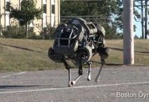 Các loại robot lấy cảm hứng từ động vật Các loại robot lấy cảm hứng từ động vật