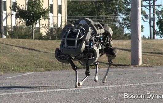Các loại robot lấy cảm hứng từ động vật
