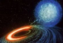 Những ngôi sao giỡn mặt tử thần