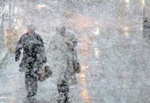 Bắc Mỹ chìm trong bão tuyết Bắc Mỹ chìm trong bão tuyết