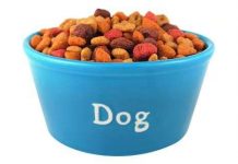 Điều gì xảy ra nếu bạn ăn thức ăn của chú cún?