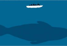 Theo dấu loài cá voi - Bí ẩn sự kiện cá voi mỏ khoằm mắc cạn (Phần I)