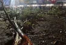 Bão bất ngờ tấn công lễ hội tại Bỉ, ba người chết Bão bất ngờ tấn công lễ hội tại Bỉ, ba người chết