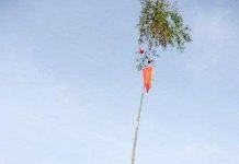 Tìm hiểu ngày lễ Khai Hạ ngày mùng 7 Tết Nguyên đán