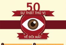 Năm mươi sự thật về đôi mắt