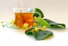 Lá trà và những bí mật ít được nhắc đến