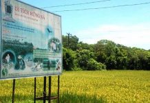 Rừng sinh thái hàng trăm năm tuổi giữa làng