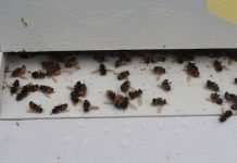 Những bí ẩn tiếp tục thách thức nhân loại 2012