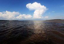 Đã tìm ra nguyên nhân sông Amazon thay dòng chảy