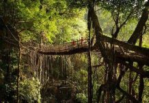 Cuộc sống kỳ lạ tại nơi “ẩm ướt nhất thế giới”