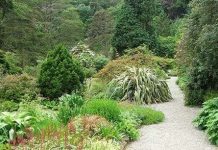 Hàng chục nghìn loài thực vật có nguy cơ tuyệt chủng Hàng chục nghìn loài thực vật có nguy cơ tuyệt chủng