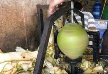 Chàng miệt vườn chế máy "siêu" gọt dừa