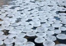 Hàng vạn "bánh" băng bí ẩn trôi nổi trên sông Scotland