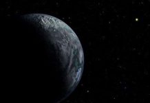 "Ngôi sao" cũng chơi bóng rổ