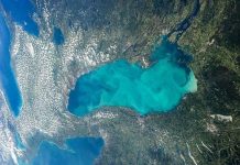 Nước hồ biến thành "thạch" vì ô nhiễm