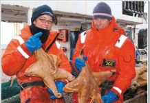 Sinh vật biển khổng lồ ở Nam Cực