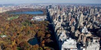 Đô thị "nuốt" 20.000 sân bóng mỗi ngày