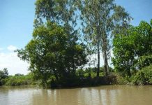 365.000 euro cho dự án thích nghi biến đổi khí hậu 365.000 euro cho dự án thích nghi biến đổi khí hậu