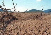 EU cảnh báo nguy cơ hạn hán trên toàn châu Âu