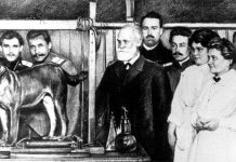 3 chú chó "huyền thoại" trong lịch sử thế giới