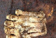 Bàn chân khổng lồ nghi của dã nhân chân to Bàn chân khổng lồ nghi của dã nhân chân to