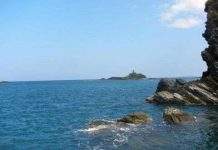 Xây 120 "nhà" cho các loài thủy sinh vùng ven biển