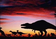 Sắp tìm ra nguyên nhân tuyệt chủng của khủng long