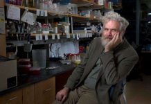 Các nhà khoa học đang tiến gần hơn tới việc viết lại “bộ mã cuộc sống” Các nhà khoa học đang tiến gần hơn tới việc viết lại "bộ mã cuộc sống"