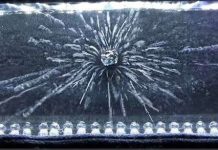 Tận mắt xem hình dạng thật của các tia phóng xạ