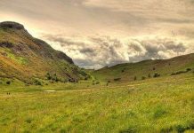 Bí ẩn trong 17 chiếc quan tài gỗ chứa xác ướp tí hon