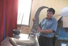 Thêm căn cứ về loài thú khổng lồ có ở Việt Nam