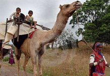 50 năm, 220 ngôn ngữ bị "xóa sổ" ở Ấn Độ